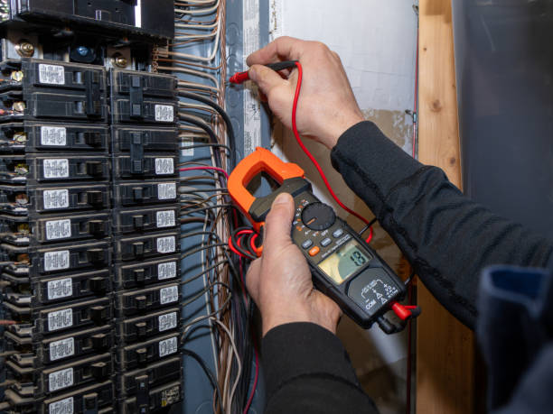 Best Licensed Electrician  in Ojus, FL